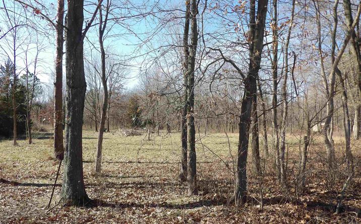 image of property at 11621 OLD LAKE RD Benton IL 62812-4460