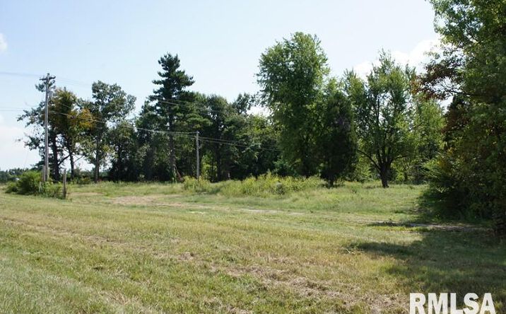 Pictures of Land property located at 2134 E 5TH Street, Metropolis, IL 62960 for sales - image #1