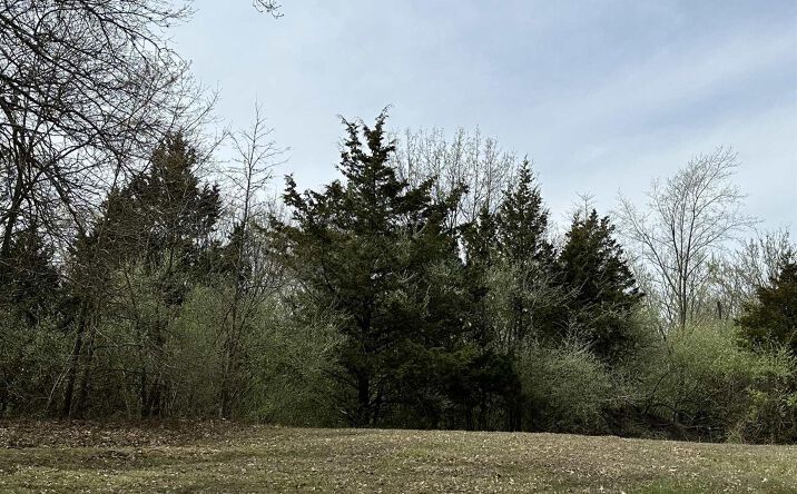 Pictures of Land property located at Gierten Road, Centralia, IL 62801 for sales - image #1