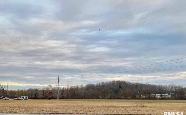 Pictures of Land property located at 0000 S COMMERCIAL Street, Harrisburg, IL 62946 for sales - image #1