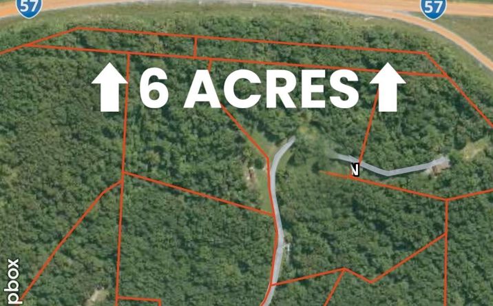 Pictures of Land property located at 001 US Hwy 51 Road, Dongola, IL 62926 for sales - image #1