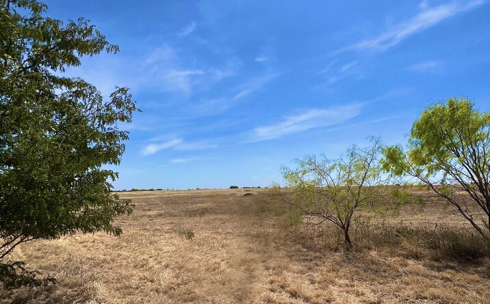 Pictures of Land property located at 386 County Road 3368, Hubbard, TX 76648 for sales - image #1