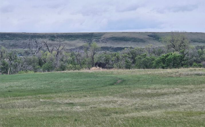 Pictures of Land property located at Lot 4 Hamilton Place, Great Falls, MT 59404 for sales - image #1