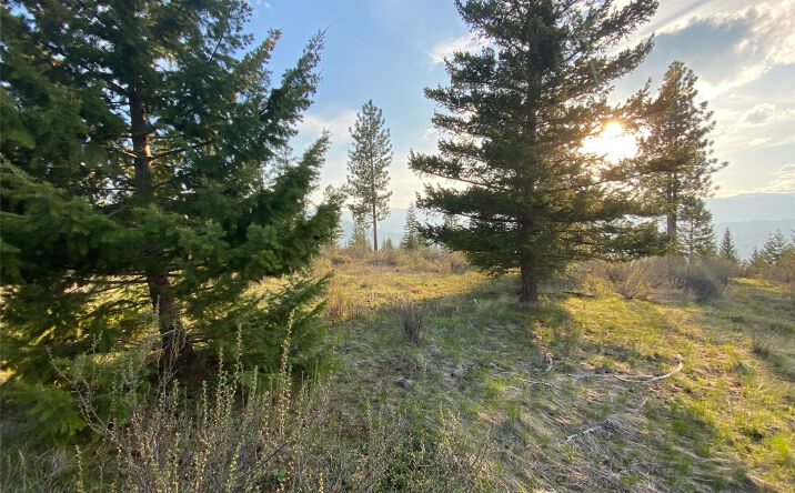 Pictures of Land property located at Lot 17 Bighorn Bluff Road, Plains, MT 59859 for sales - image #1
