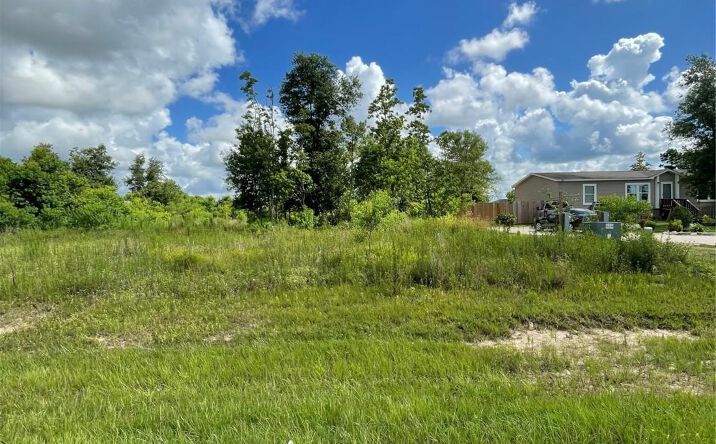 Pictures of Land property located at 1819 Road 5730, Cleveland, TX 77327 for sales - image #1