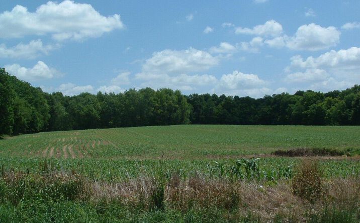 Pictures of Land property located at 0 Clover Valley Road NW, Johnstown, OH 43031 for sales - image #1