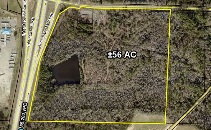 Pictures of Land property located at 1038 Pinehurst-Hawkinsville Rd, Pinehurst, GA 31070 for sales - image #1