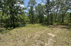 24341404