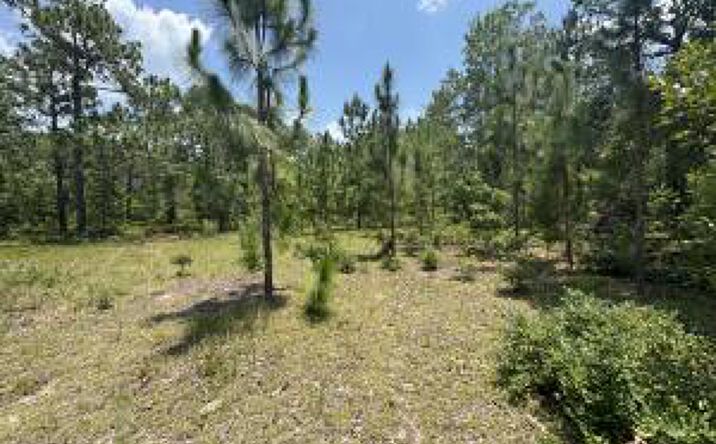 Pictures of Land, Special Purpose property located at 17 Acres Hard Luck Lane, Windsor, SC 29856 for sales - image #1