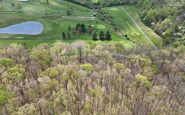 Pictures of Land, Special Purpose property located at 00 Browns Rd., Fayetteville, WV 25840 for sales - image #1