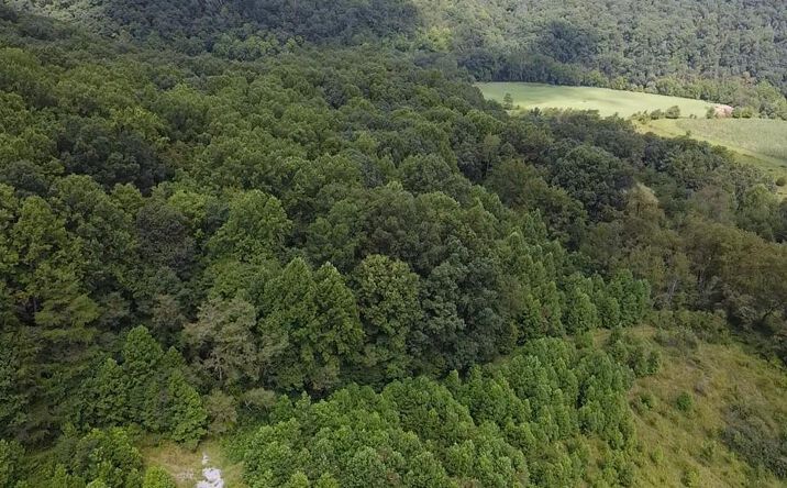 Pictures of Land, Multifamily property located at 0 Scenic Dr., Rich Creek, VA 24147 for sales - image #1