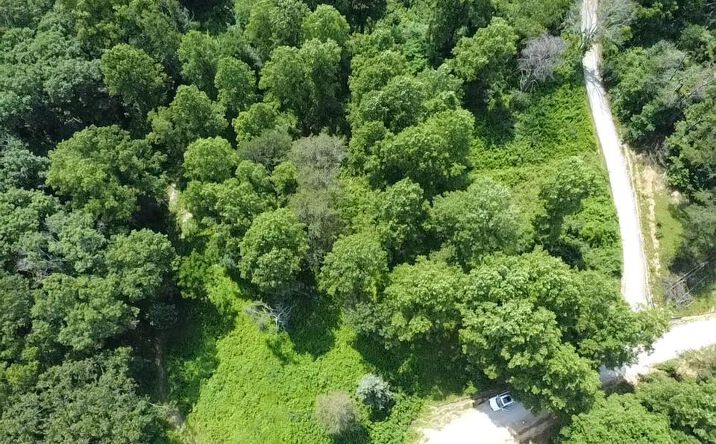 Pictures of Land, Multifamily property located at Lot 18 Grandview Dr., Forest Hill, WV 24935 for sales - image #1