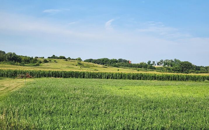 Pictures of Land property located at Prairie View Place, Rockford, IA 50468 for sales - image #1