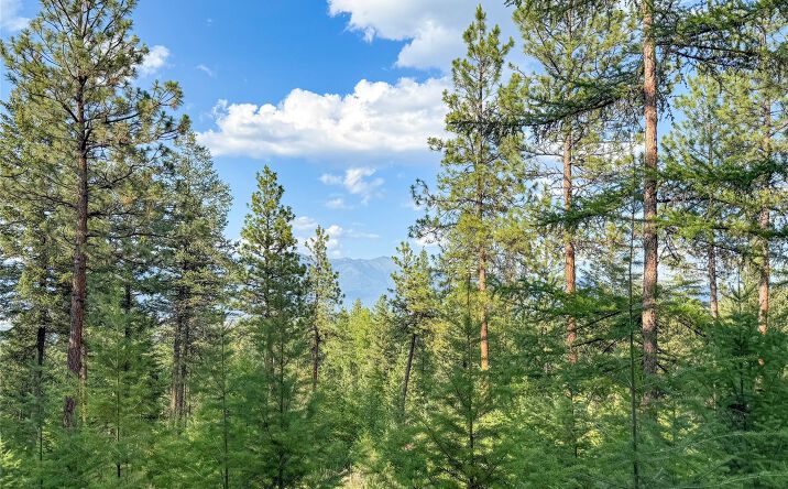 Pictures of Land property located at 148 Tiny Acres Trail, Rexford, MT 59930 for sales - image #1