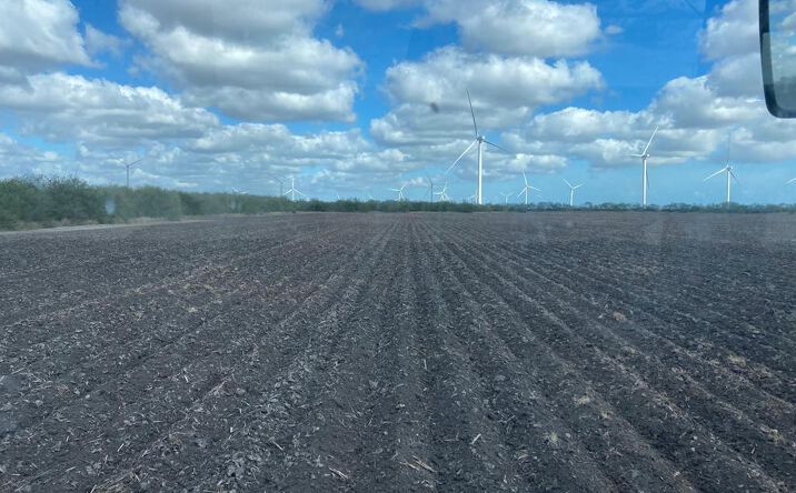 Pictures of Land property located at 3.78 Acres- Fernando Rd, Rio Hondo, TX 78583 for sales - image #1