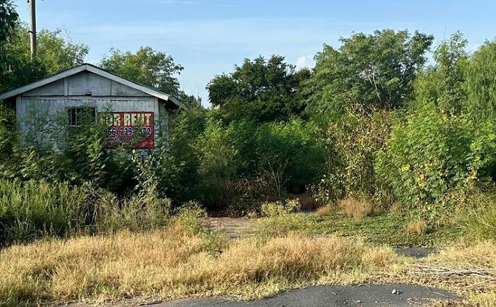 Pictures of Land, Multifamily property located at 0 Military Hwy., Los Indios, TX 78567 for sales - image #1