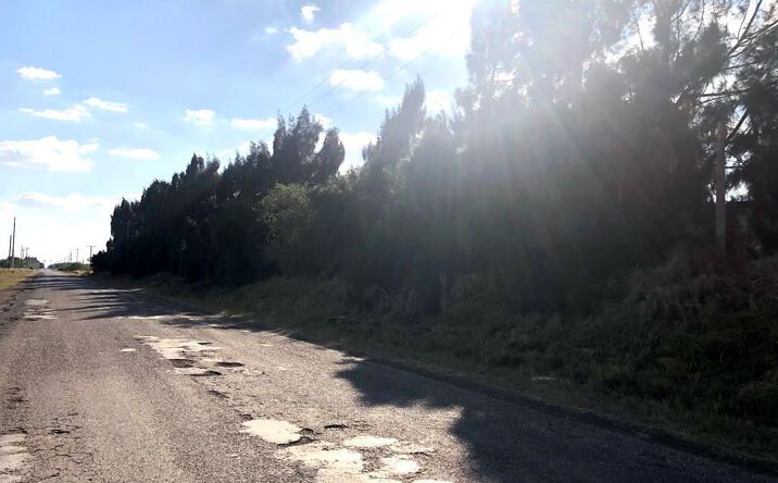 Pictures of Land, Multifamily property located at 30 ACRES Fm 803, Rio Hondo, TX 78566 for sales - image #1