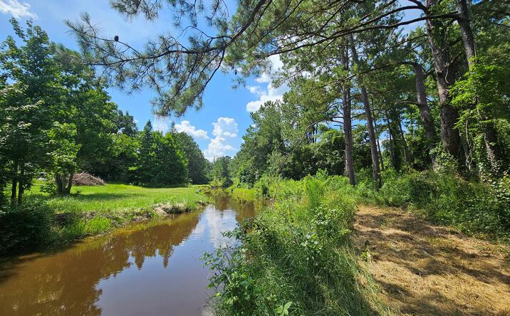 Pictures of Land, Multifamily property located at 14 Jolly Roger Point, Carriere, MS 39426 for sales - image #1