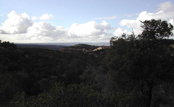 Pictures of Land property located at R4001860 ROAD 2778, Aztec, NM 87410 for sales - image #1