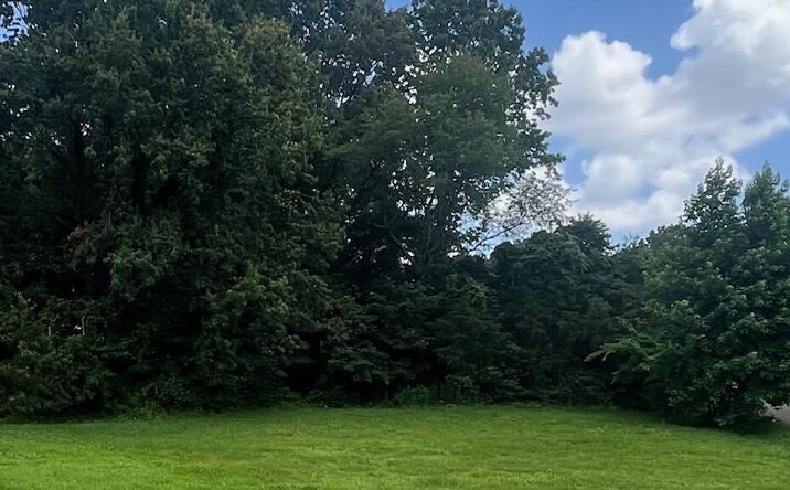 Pictures of Land property located at 341 Kelly Drive, Humboldt, TN 38343 for sales - image #1