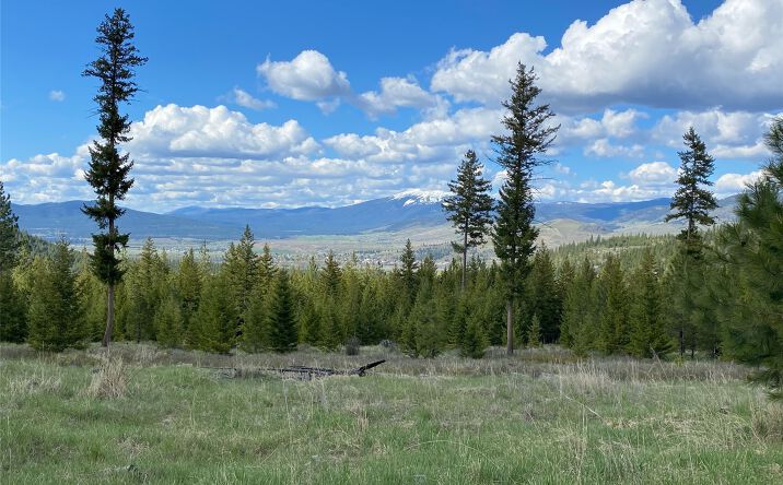 Pictures of Land property located at Lot 8 Bighorn Bluff Road, Plains, MT 59859 for sales - image #1