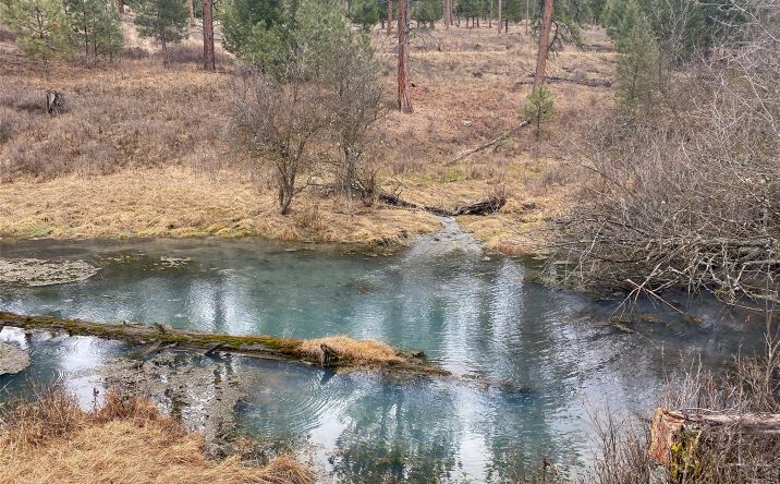 Pictures of Land property located at Lot 1 Bighorn Bluff Road, Plains, MT 59859 for sales - image #1