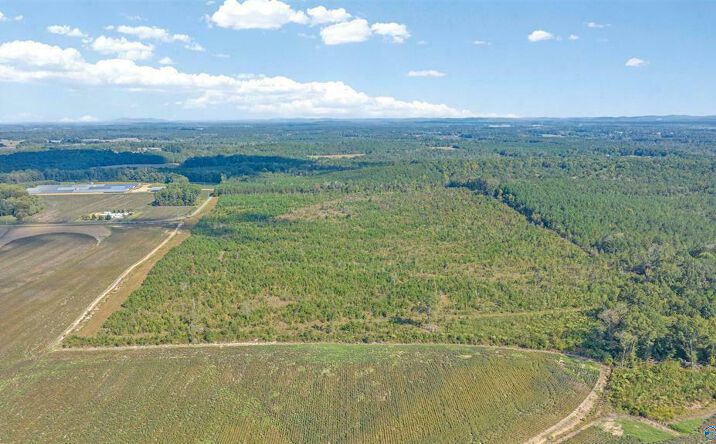 Pictures of Land property located at CR 239, Centre, AL 35960 for sales - image #1