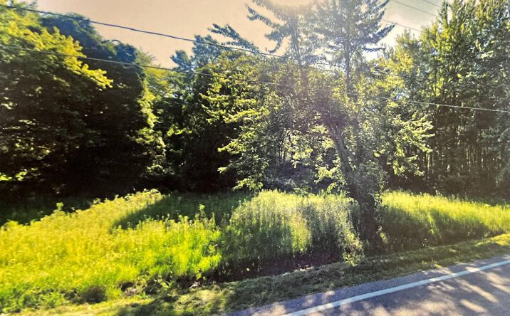 Pictures of Land property located at 4303 S Berkey Southern Rd., Swanton, OH 43558 for sales - image #1