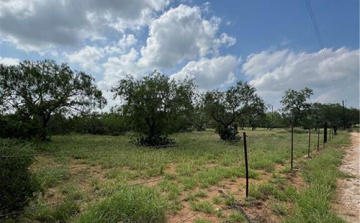 Pictures of Land property located at 00 Riojas Road, San Isidro, TX 78588 for sales - image #1