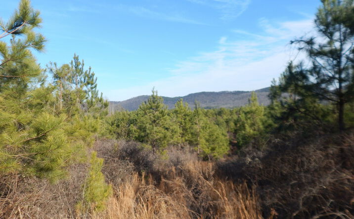 Pictures of Land property located at Hwy 227, Attalla, AL 35954 for sales - image #1