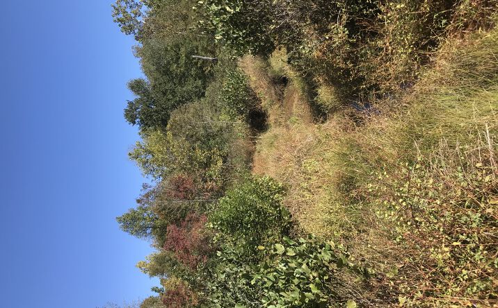 Pictures of Land property located at 5003 US-401, Youngsville, NC 27596 for sales - image #1