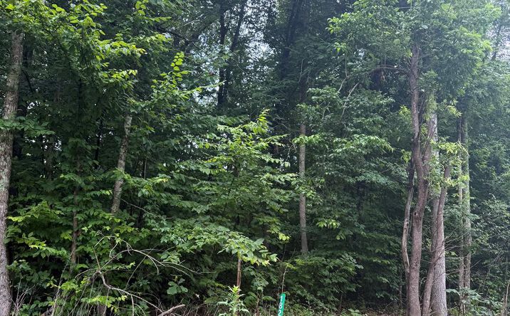 Pictures of Land property located at 1829 Eva Rd, Camden, TN 38320 for sales - image #1
