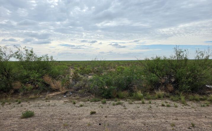 Pictures of Land property located at UNKNOWN TBD, Pecos, TX 79772 for sales - image #1