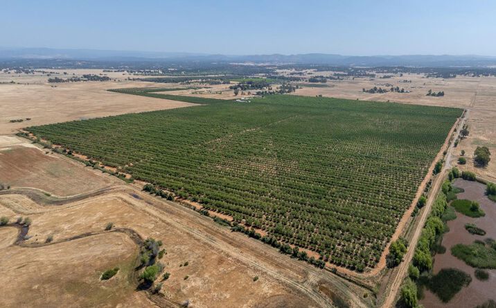 Pictures of Land property located at 8972 Palermo-Honcut Hwy, Oroville, CA 95966 for sales - image #1