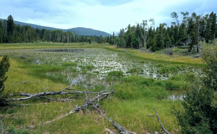 Pictures of Land property located at NHN Moose Lake Road Lot 3 TBD Moose Lake Rd. Montana, Philipsburg, MT 59858 for sales - image #1