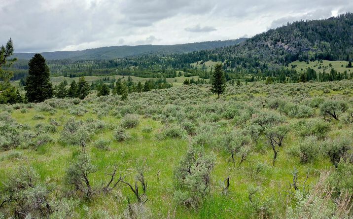 Pictures of Land property located at NHN Moose Lake Road Lot 2, Philipsburg, MT 59858 for sales - image #1