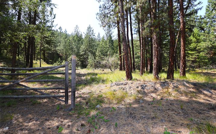 Pictures of Land property located at NHN Heir Loom Way, Plains, MT 59859 for sales - image #1
