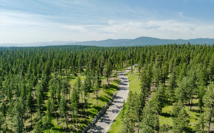 Pictures of Land property located at Nhn Northern Larch Trail Lot 71, Kalispell, MT 59901 for sales - image #1