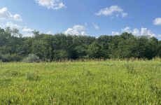 24397751