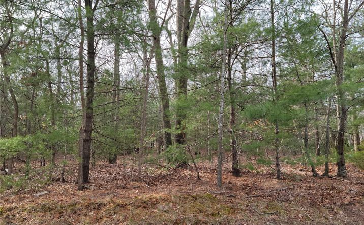 Pictures of Land property located at Lake Terrace, Brookhaven, NY 11953 for sales - image #1