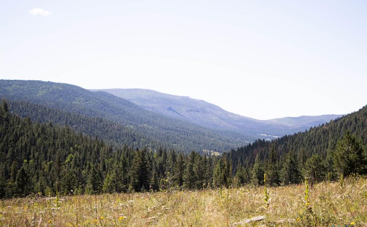 Pictures of Land property located at Luna Canyon Mora County, Chacon, NM 87713 for sales - image #1