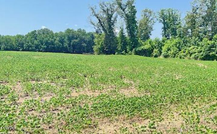 Pictures of Land, Special Purpose property located at 0 Roy Hargrove, Medina, TN 38355 for sales - image #1