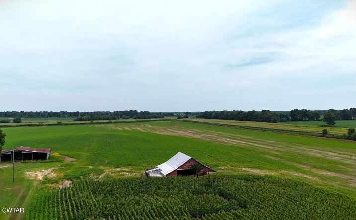 Pictures of Land property located at 0 Pete Tinsley Road, Alamo, TN 38001 for sales - image #1