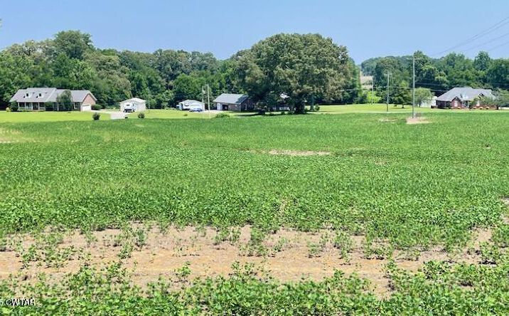 Pictures of Land property located at 00 Roy Hargrove, Medina, TN 38355 for sales - image #1