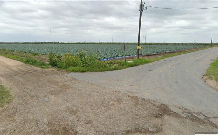 Pictures of Land property located at TBD SE Mile 4 Street N, Mercedes, TX 78570 for sales - image #1