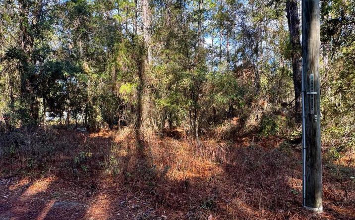 Pictures of Land property located at SE 141st Ave, Old Town, FL 32680 for sales - image #1
