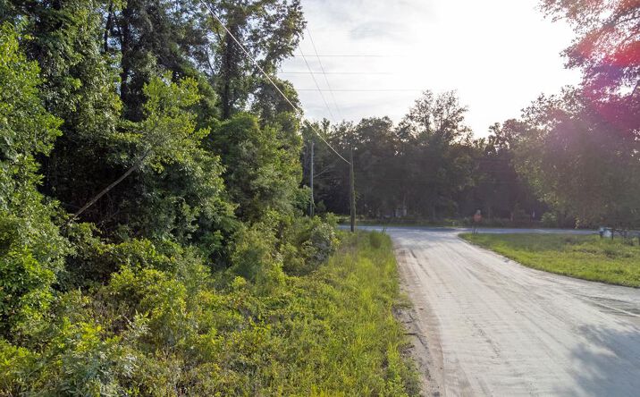 Pictures of Land property located at TBD NE 349th Ave, Old Town, FL 32680 for sales - image #1