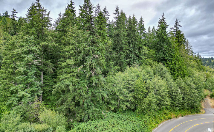 Pictures of Land property located at 7th Ave NE, Poulsbo, WA 98370 for sales - image #1