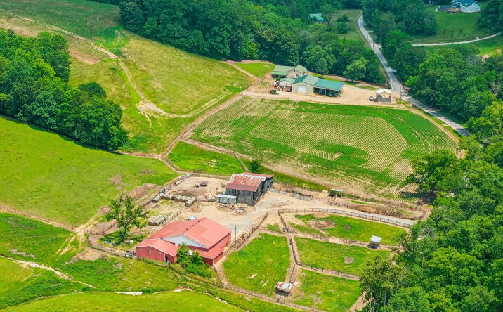 Pictures of Land property located at 8663 Dog Creek Rd, Primm Springs, TN 38476 for sales - image #1