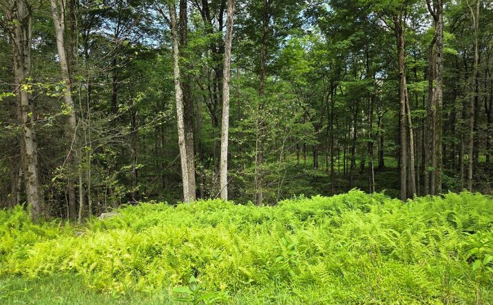 Pictures of Land property located at Gregory Road, Thompson, NY 12701 for sales - image #1